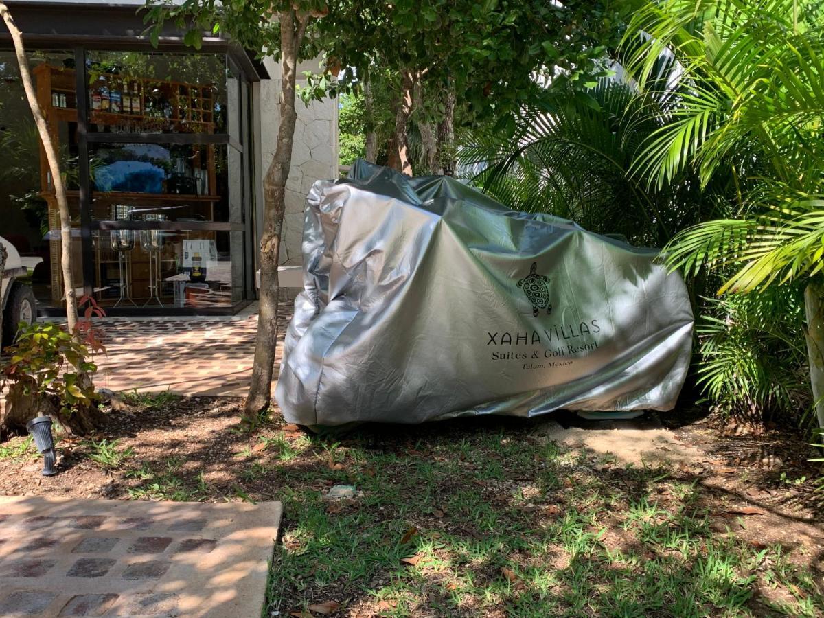 Alojamento de Acomodação e Pequeno-almoço Xaha & Golf
